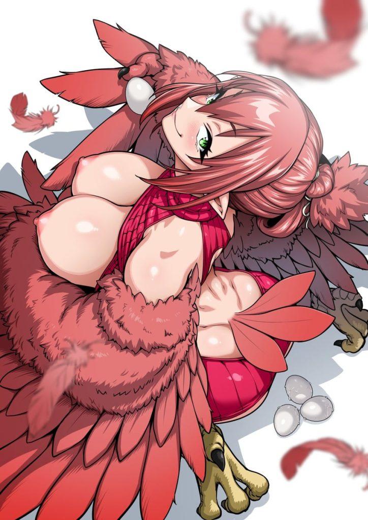 Kemonokko Tsuushin: The Animation – Tori Musume Rupia Thumbnail